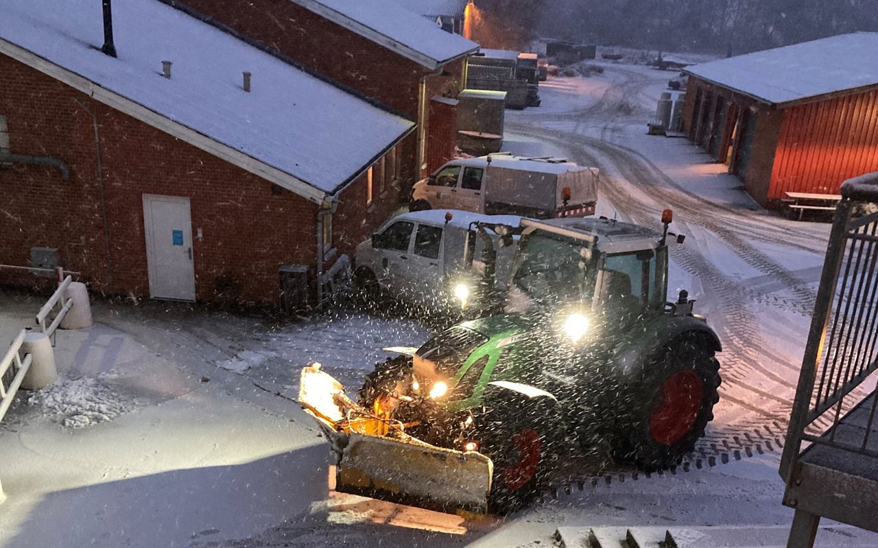 Traktor rydder sne