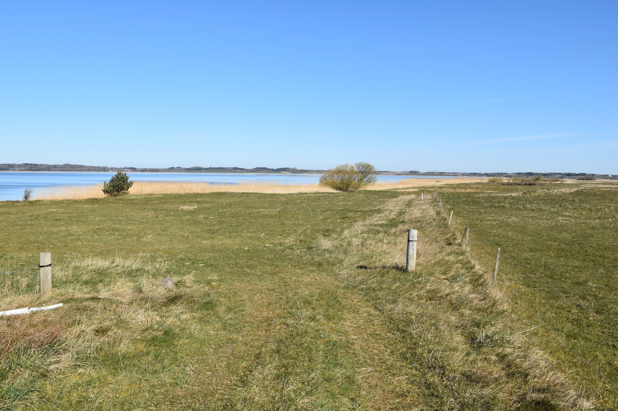 Området ved Tanghuset i Nederhede