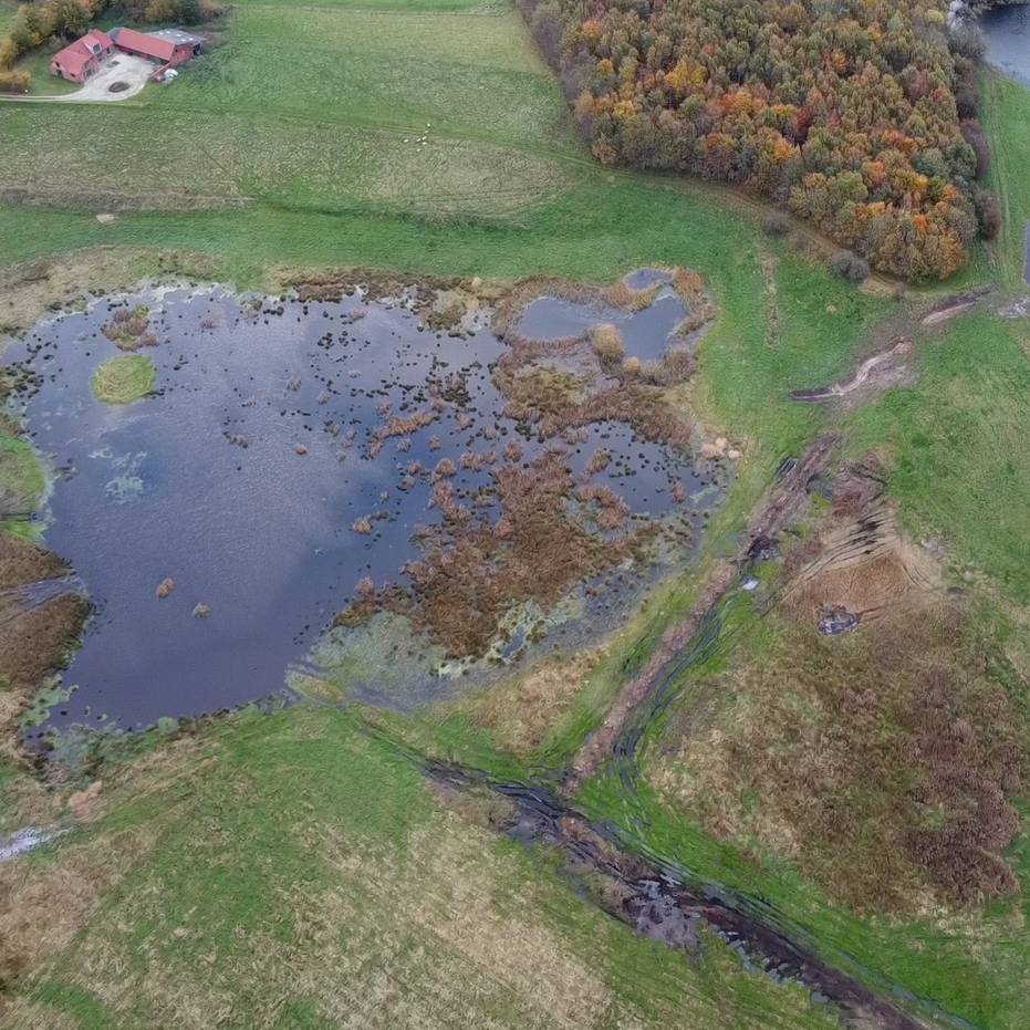 Luftfoto af vådområde