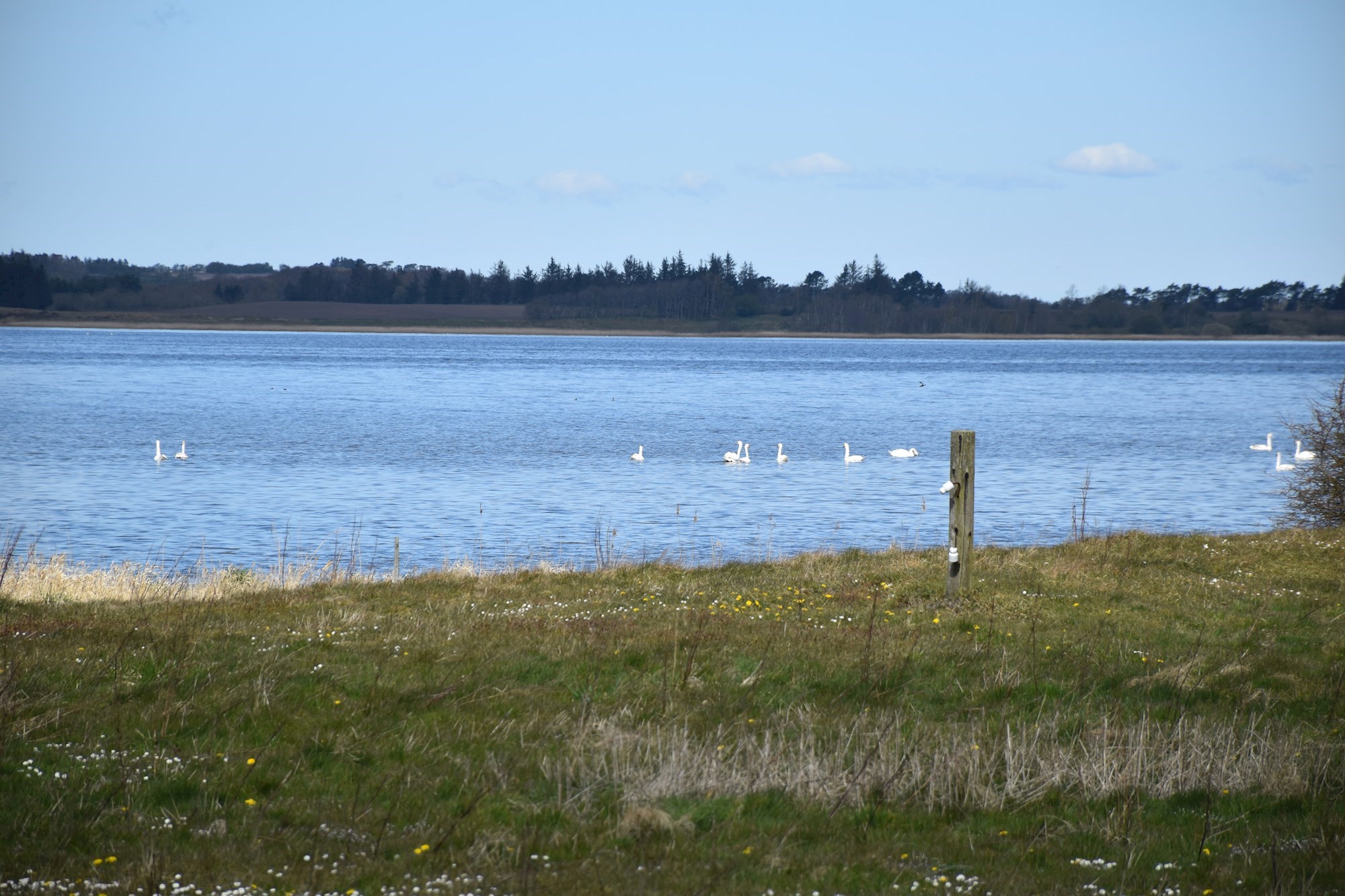 Udsigten til fjorden ved Lynderup