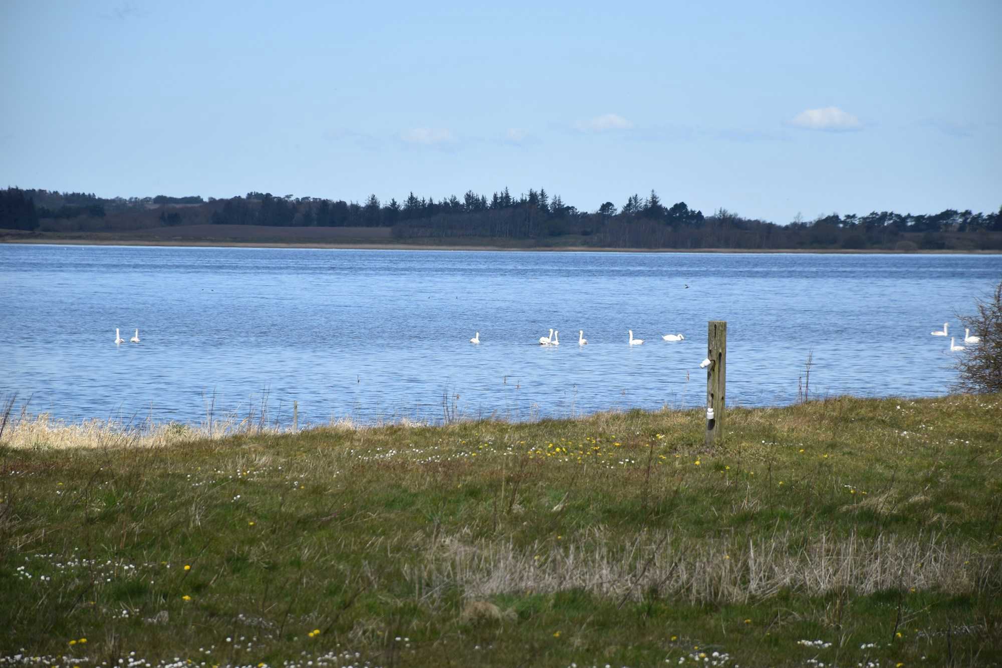 Udsigten til fjorden ved Lynderup