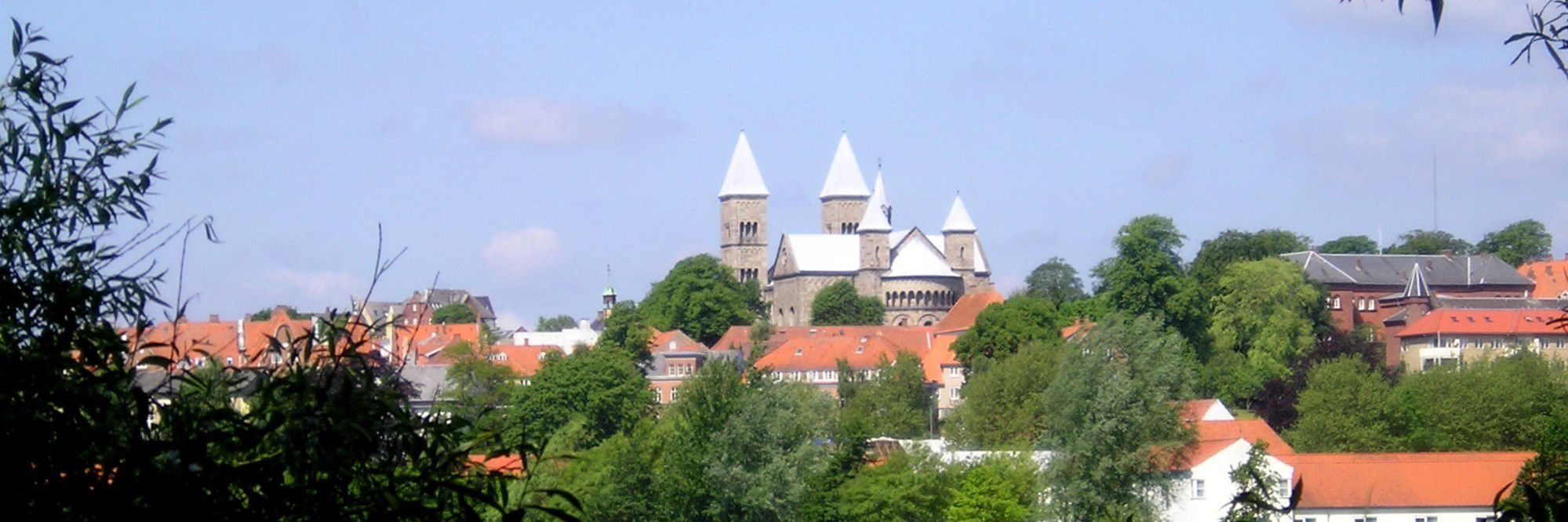 Viborg Domkirke