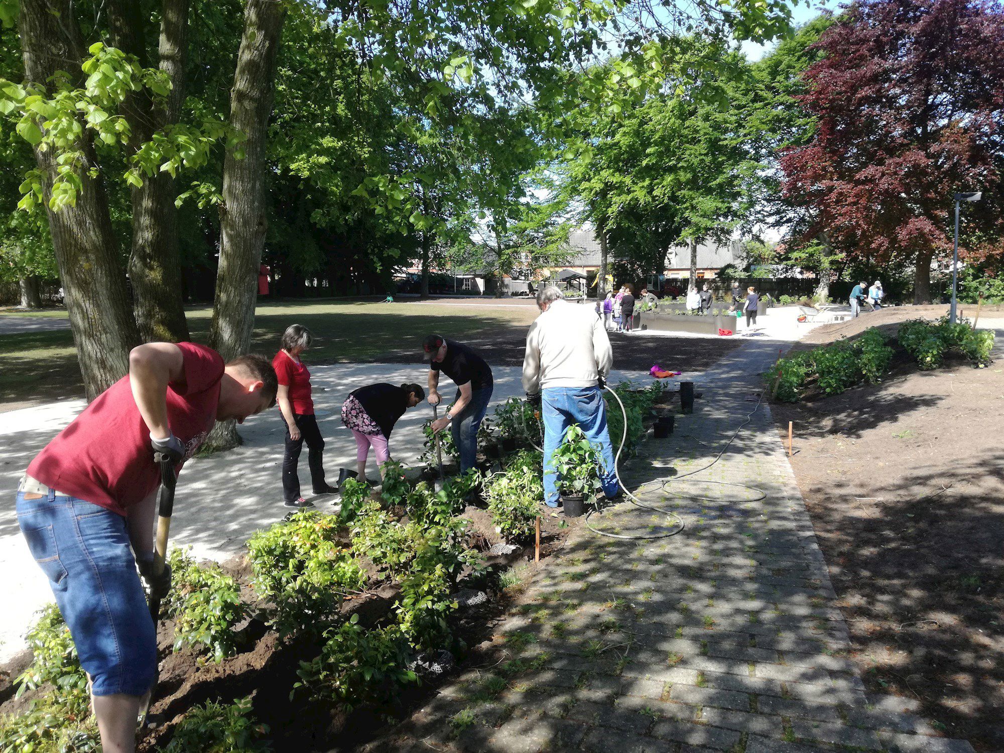 Plantedag 25.05.2017