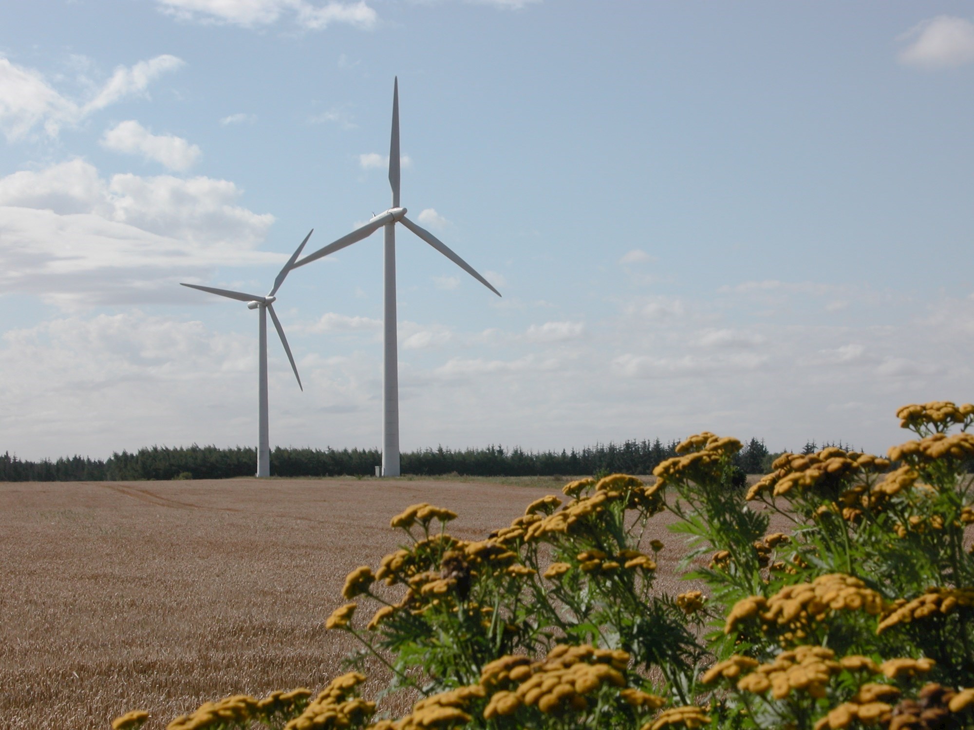 To vindmøller ved Karup